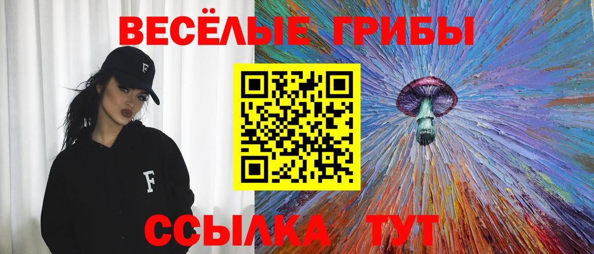 закладки  Галлюциногенные грибы мухоморы  Вход с VPN  Кириши 