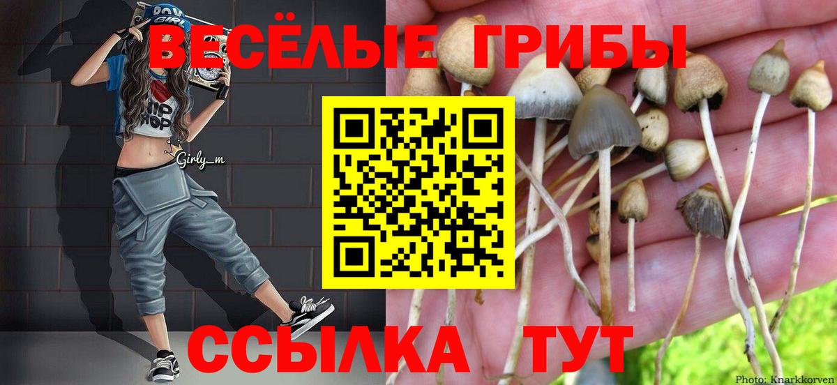 Галлюциногенные грибы мухоморы Кириши
